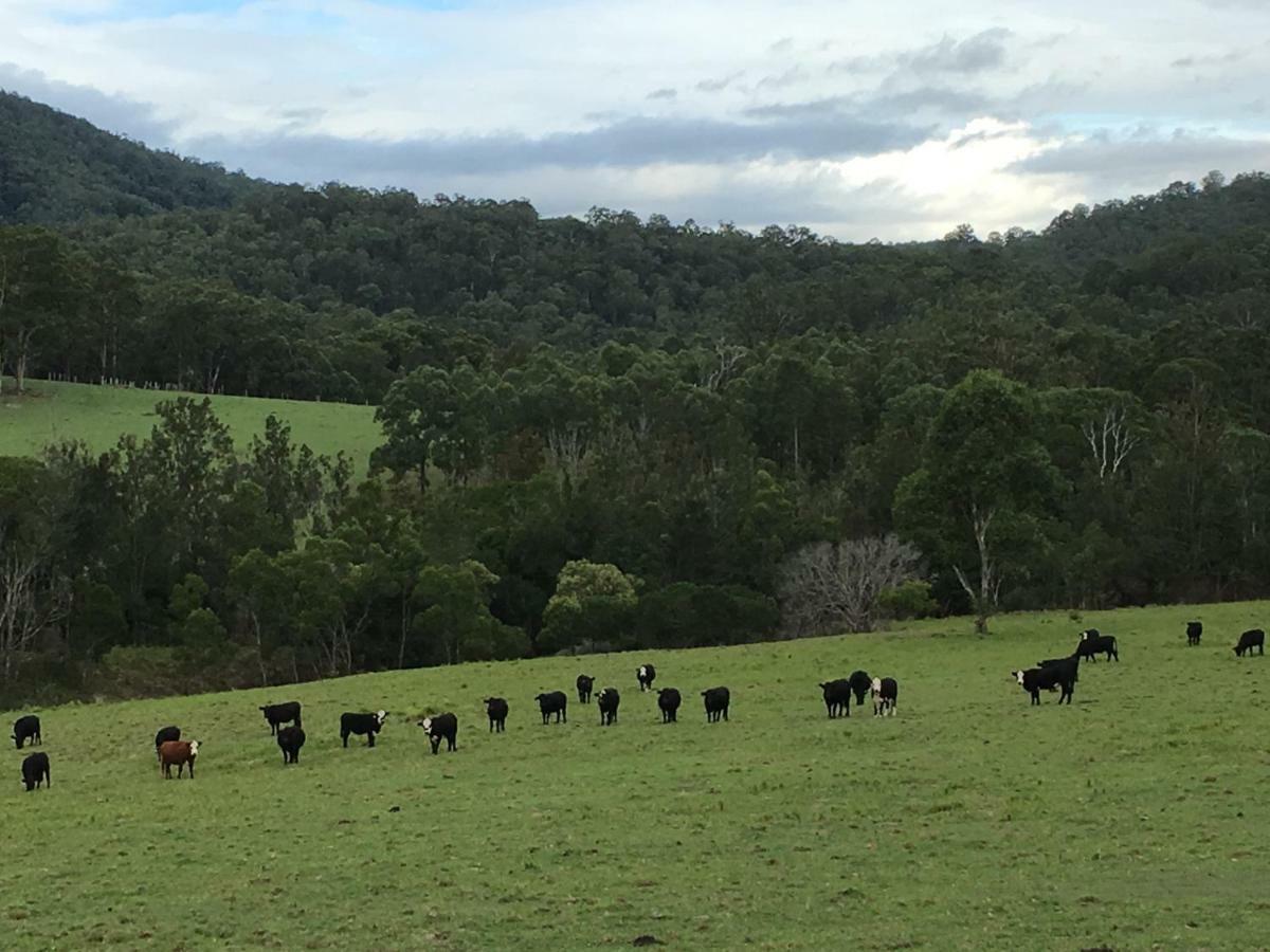 Rural Ambience With Netflix Lägenhet Mount George Exteriör bild